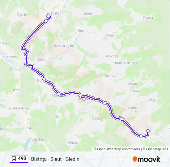 493 Bus Line Map