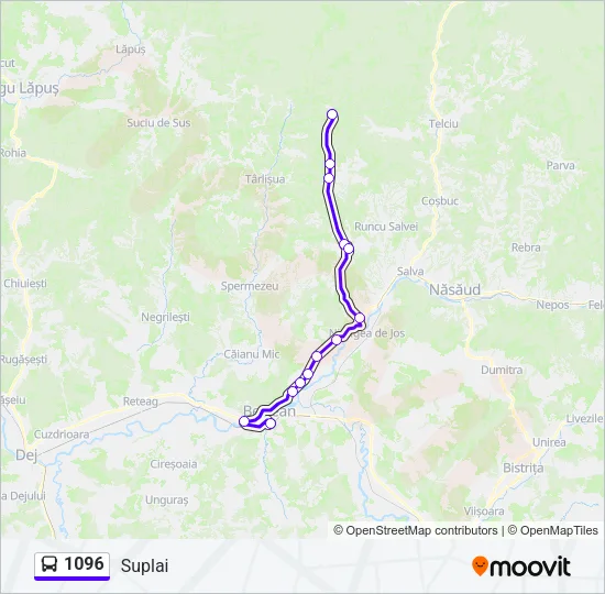 1096 Bus Line Map