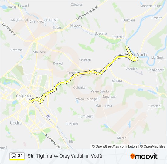 31 bus Line Map