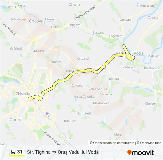 31 Bus Line Map