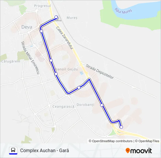 5 Bus Line Map