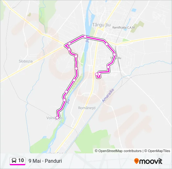 10 Bus Line Map