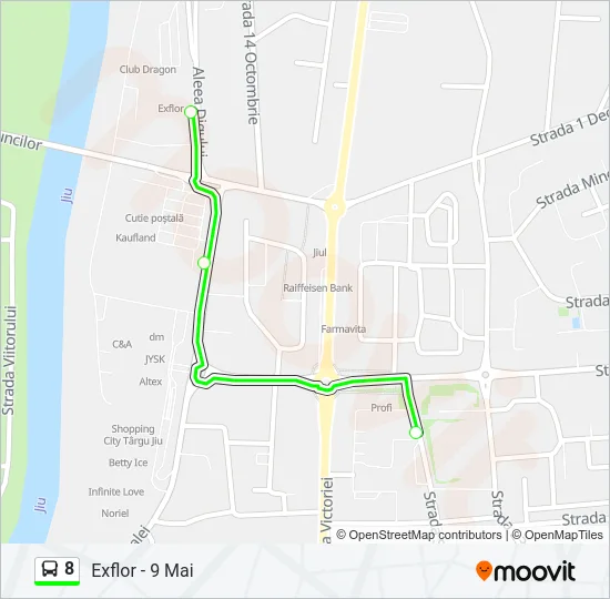 8 Bus Line Map