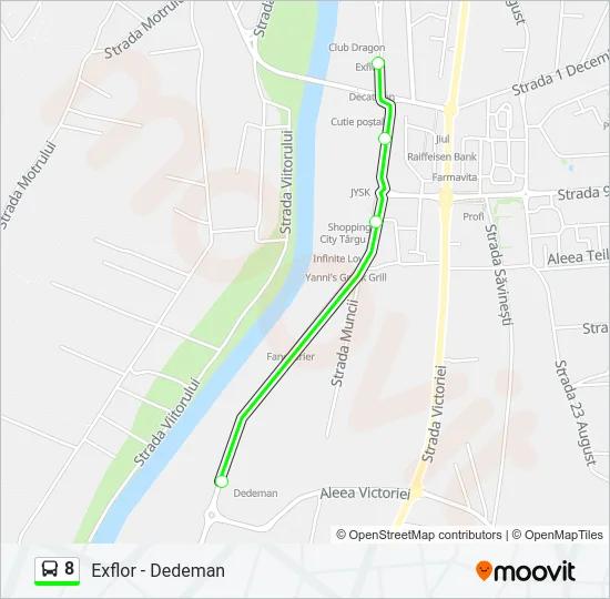 8 Bus Line Map