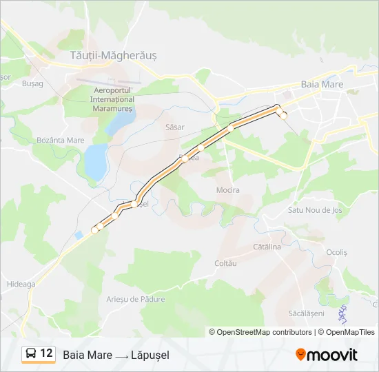 12 Bus Line Map