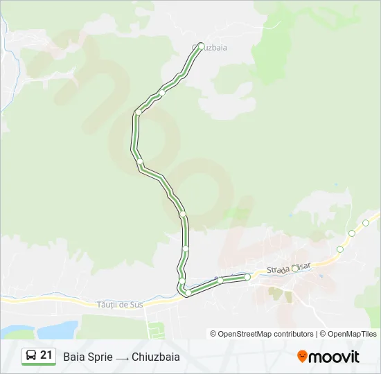 21 Bus Line Map