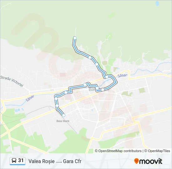 31 Bus Line Map