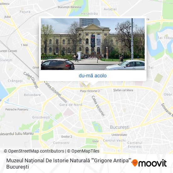 Hartă Muzeul Național De Istorie Naturală ""Grigore Antipa""