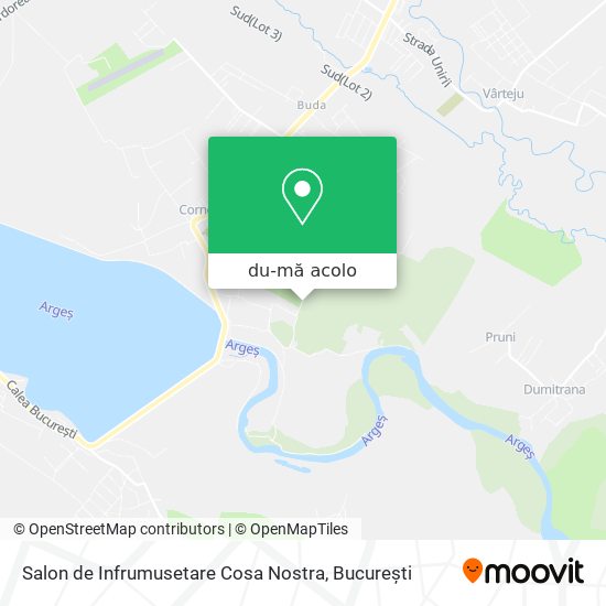Hartă Salon de Infrumusetare Cosa Nostra