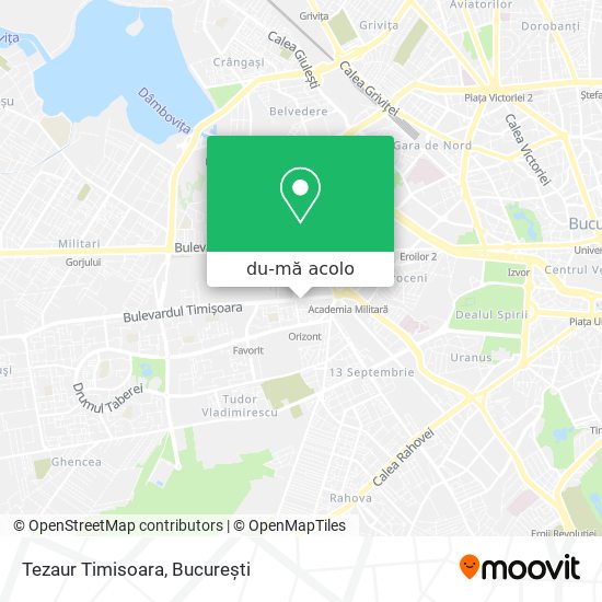 Hartă Tezaur Timisoara