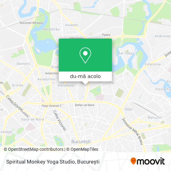 Hartă Spiritual Monkey Yoga Studio