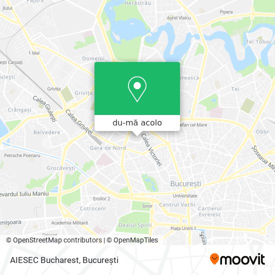 Hartă AIESEC Bucharest