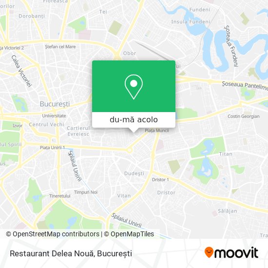 Hartă Restaurant Delea Nouă
