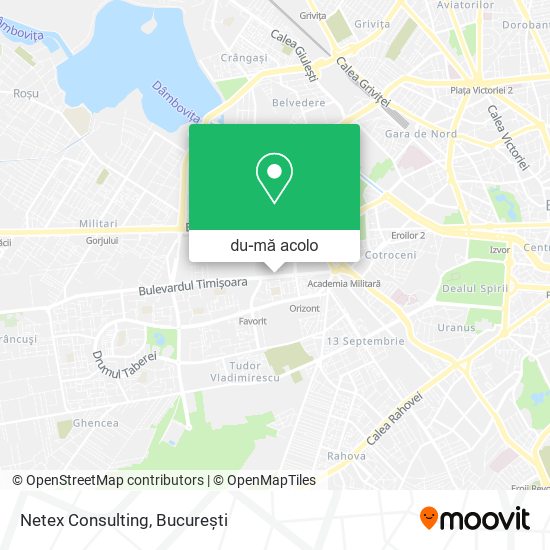 Hartă Netex Consulting