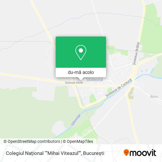 Hartă Colegiul Național ""Mihai Viteazul""