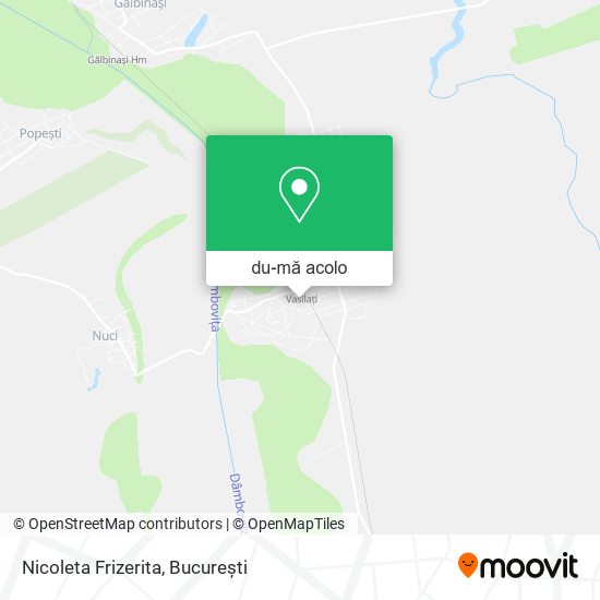 Hartă Nicoleta Frizerita