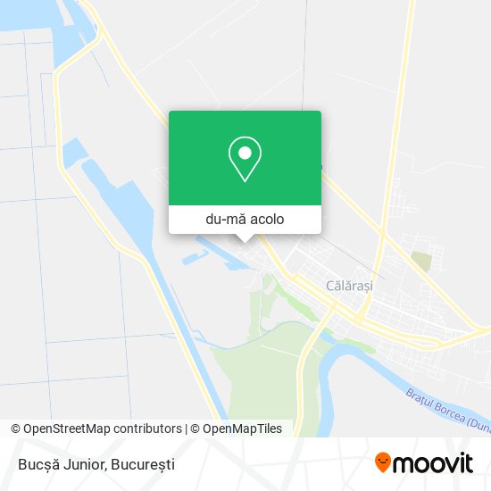 Hartă Bucșă Junior