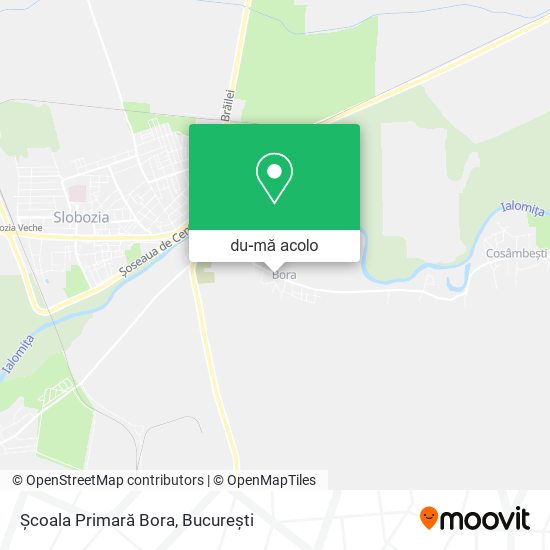 Hartă Școala Primară Bora