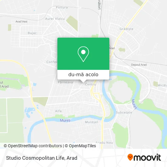 Hartă Studio Cosmopolitan Life