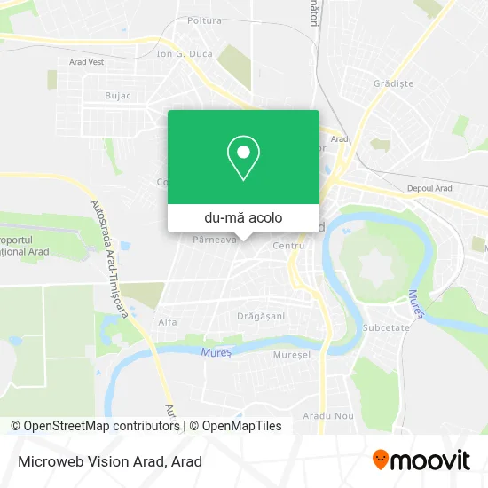 Hartă Microweb Vision Arad