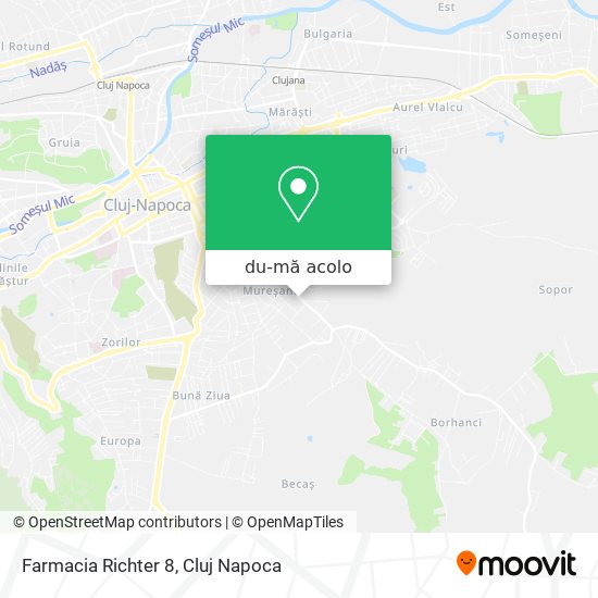 Hartă Farmacia Richter 8