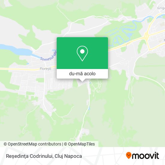 Hartă Reşedinţa Codrinului
