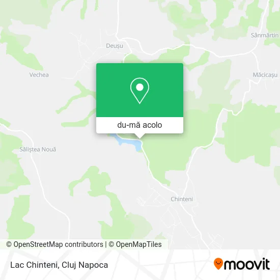 Hartă Lac Chinteni