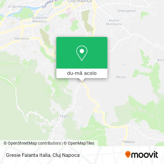 Hartă Gresie Faianta Italia