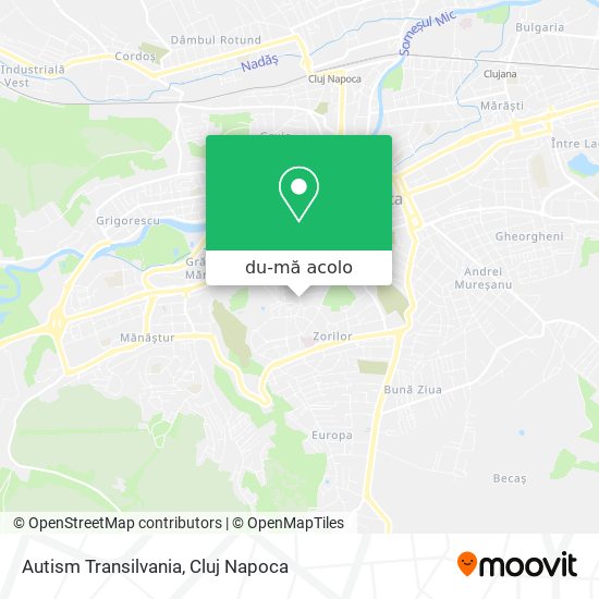 Hartă Autism Transilvania