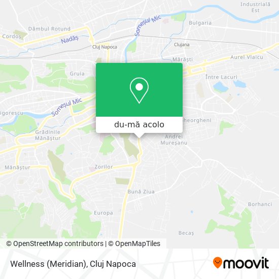 Hartă Wellness (Meridian)