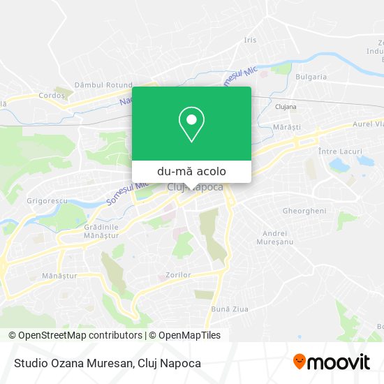 Hartă Studio Ozana Muresan