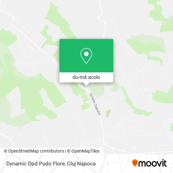 Hartă Dynamic Dpd Pudo Flore