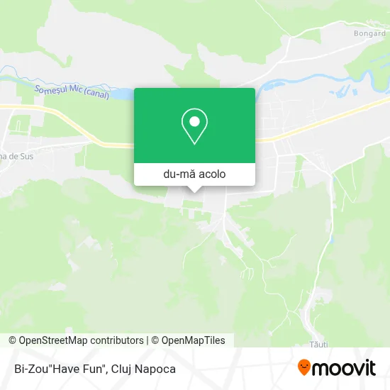 Hartă Bi-Zou"Have Fun"