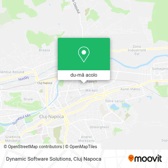 Hartă Dynamic Software Solutions