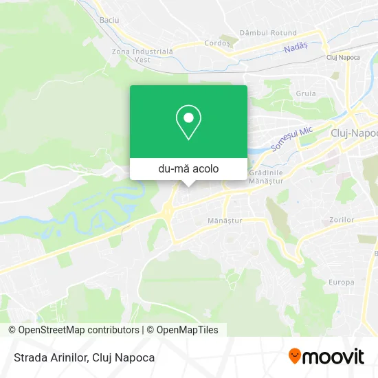 Hartă Strada Arinilor