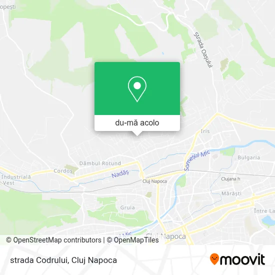 Hartă strada Codrului
