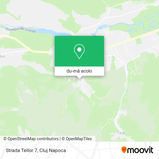 Hartă Strada Teilor 7