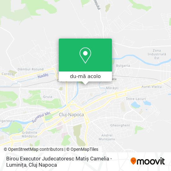 Hartă Birou Executor Judecatoresc Matiș Camelia - Luminița