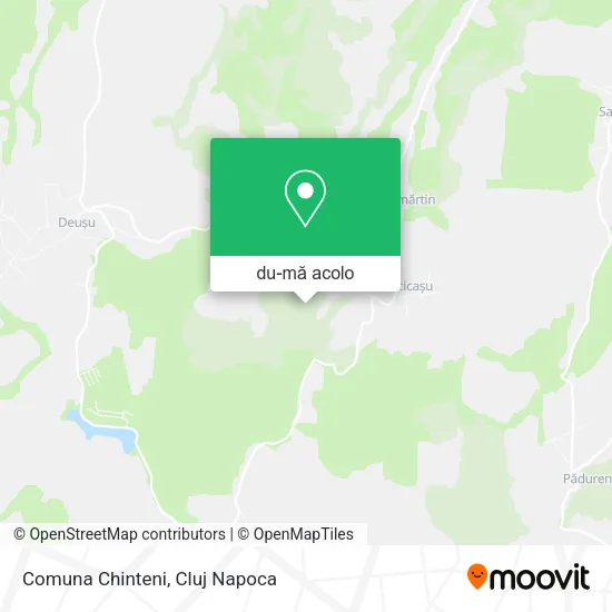 Hartă Comuna Chinteni