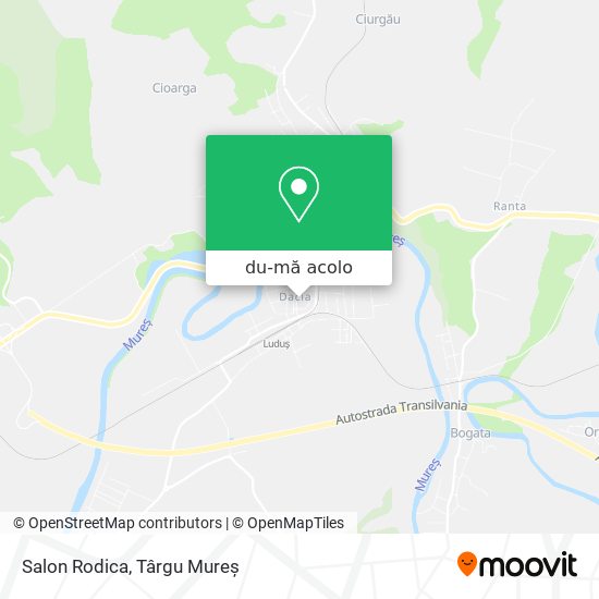 Hartă Salon Rodica