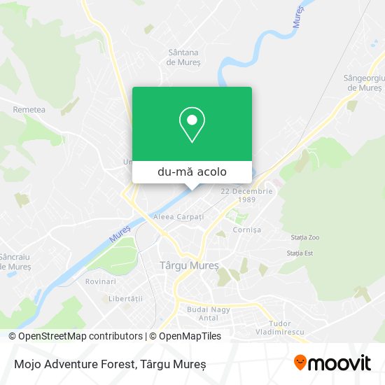 Hartă Mojo Adventure Forest
