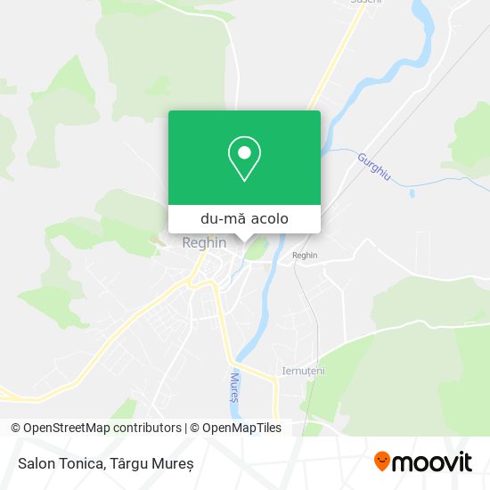 Hartă Salon Tonica
