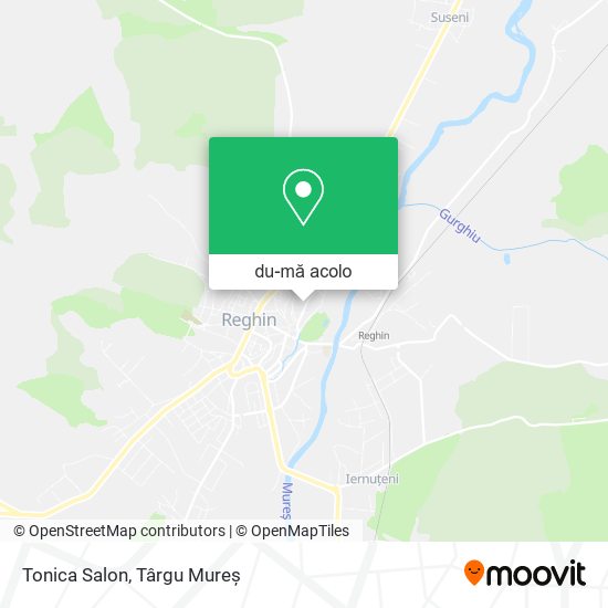 Hartă Tonica Salon