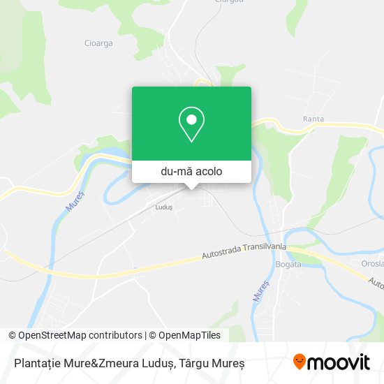 Hartă Plantație Mure&Zmeura Luduș