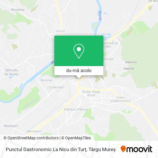 Hartă Punctul Gastronomic La Nicu din Turț