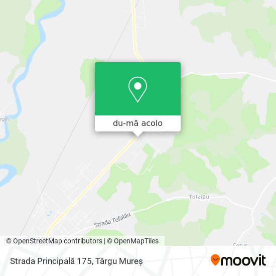 Hartă Strada Principală 175