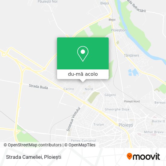 Hartă Strada Cameliei