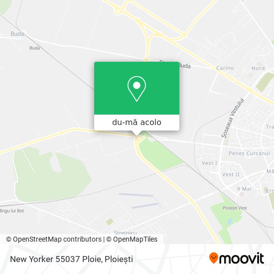Hartă New Yorker 55037 Ploie