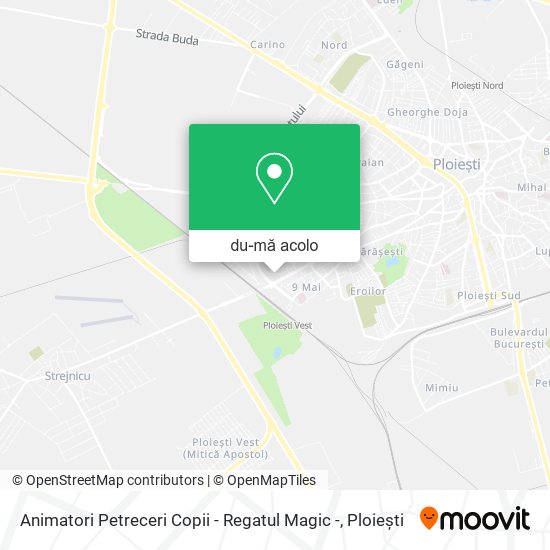 Hartă Animatori Petreceri Copii - Regatul Magic -