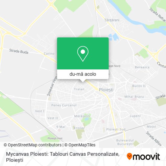 Hartă Mycanvas Ploiesti: Tablouri Canvas Personalizate